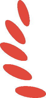 从0开始：500行代码实现 LSM 数据库