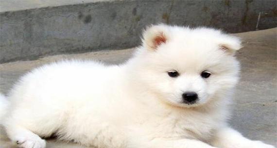 DB2中主要三个层次的字符集的设置